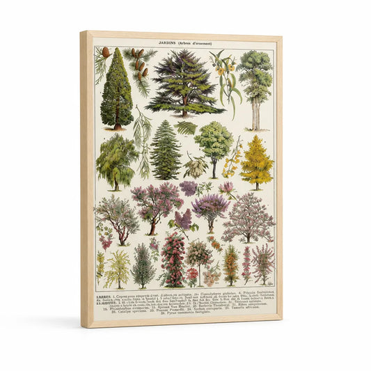 Vintage Botanical Plant Illustrations Canvas Print